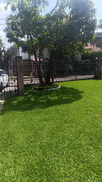 Casa en renta en Las Fincas, Jiutepec — foto 2 de 38