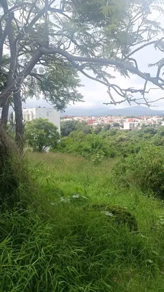 Terreno en venta en Loma Bonita, Cuernavaca — foto 3 de 7