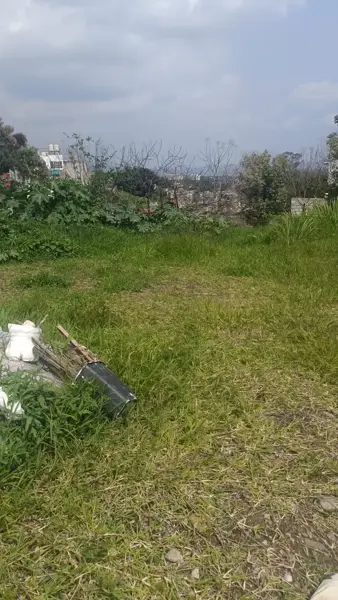 Terreno en venta en Lomas de Tzompantle, Cuernavaca — foto 2 de 4