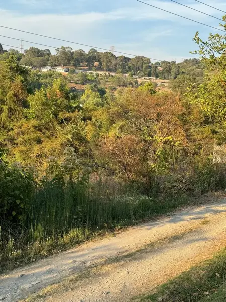 Terreno en venta en El Arco, Valle de Bravo — foto 3 de 7