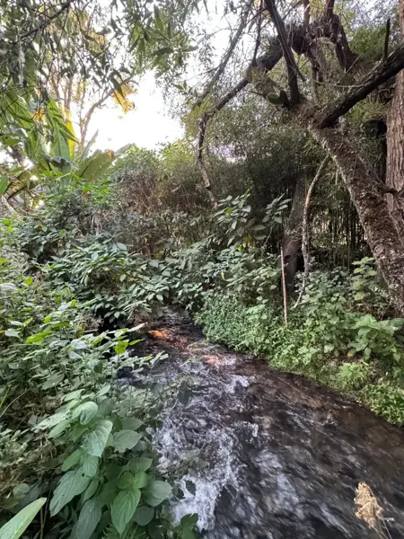 Terreno en venta en El Arco, Valle de Bravo — foto 2 de 7