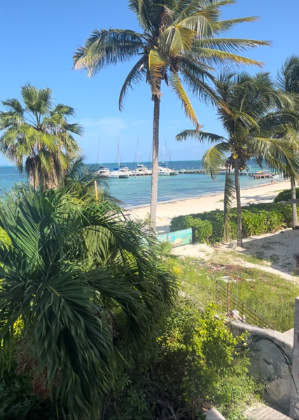 Edificio en renta en Punta Sam, Isla Mujeres — foto 3 de 9