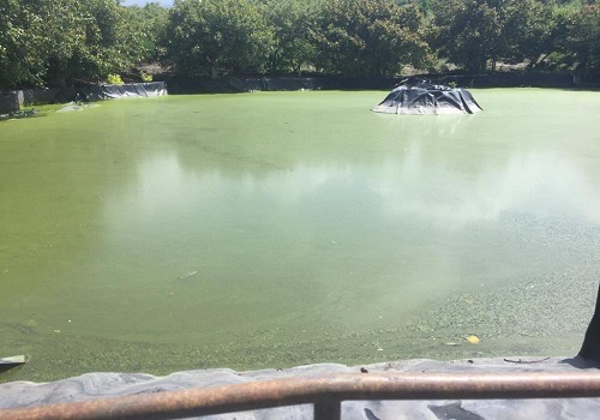 Terreno en venta en Camino Antiguo a Tepoztlán, Tepoztlán — foto 2 de 6