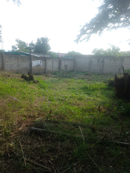 Terreno en venta en Jojutla Centro, Jojutla — foto 2 de 5