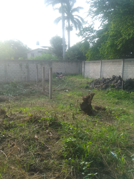 Terreno en venta en Jojutla Centro, Jojutla — foto 3 de 5
