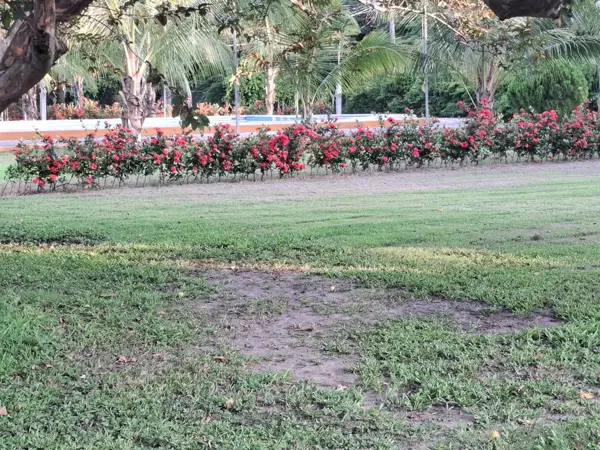 Terreno en venta en Arboleda San Miguel, Medellín de Bravo — foto 3 de 9