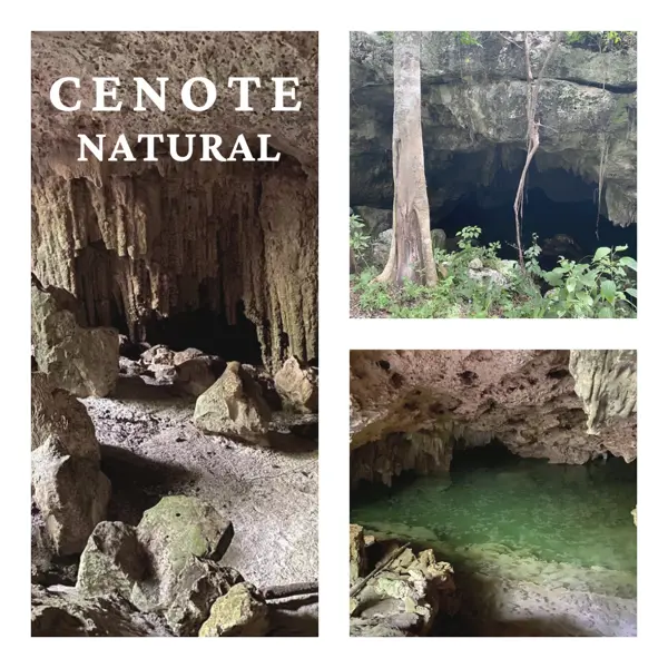Terreno en venta en Ejidal, Playa del Carmen — foto 2 de 12
