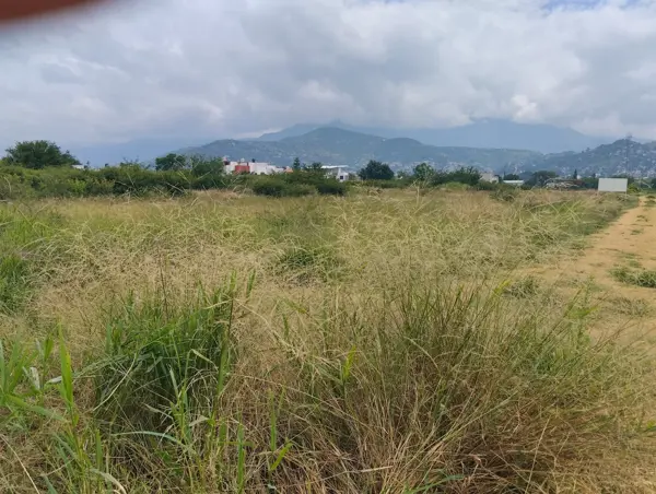 Terreno en venta en Emiliano Zapata, San Jacinto Amilpas — foto 3 de 8