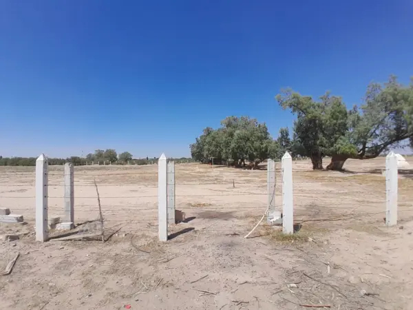 Terreno en Ejido la Perla, Torreón, Coahuila de Zaragoza
