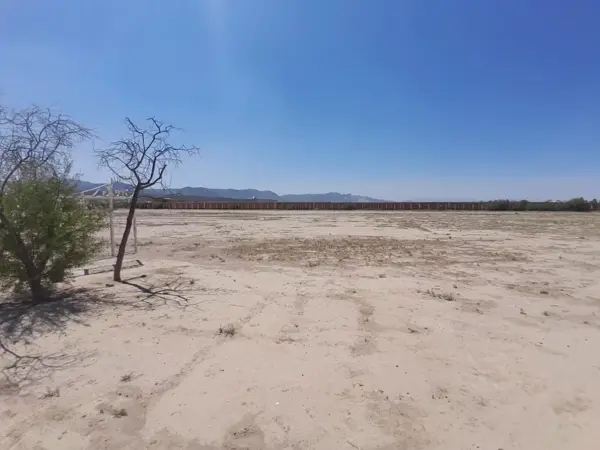 Terreno en venta en Ejido la Perla, Torreón — foto 3 de 14