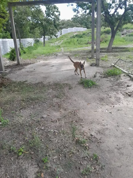 Terreno en venta en San Isidro, Parras — foto 3 de 5