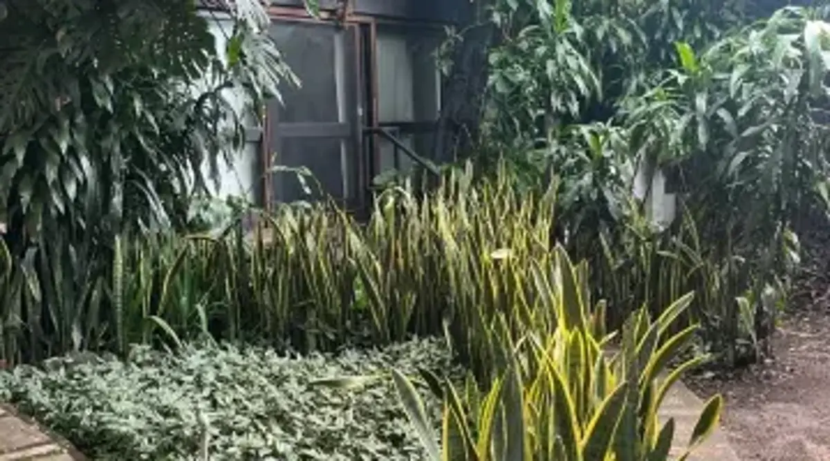 Departamento en renta en Cuernavaca Centro, Cuernavaca — foto 1 de 16