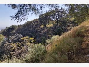 Terreno en venta en El Palomar, Tlajomulco de Zúñiga — foto 3 de 9