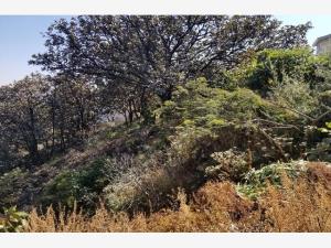 Terreno en venta en El Palomar, Tlajomulco de Zúñiga — foto 2 de 9