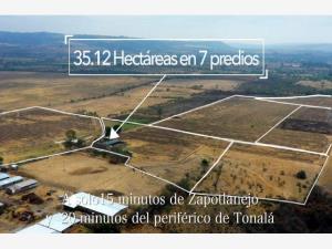 Terreno en venta en Matatlan, Zapotlanejo — foto 3 de 14