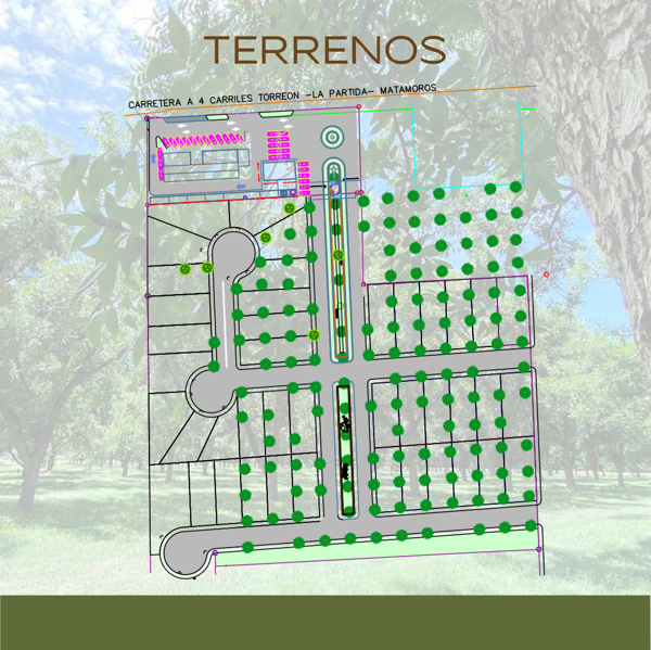 Terreno en venta en La Barranca, Torreón — foto 3 de 7