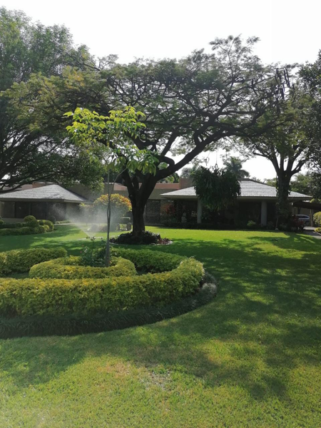 Casa en venta en Palmira Tinguindin, Cuernavaca — foto 2 de 15