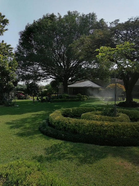 Casa en venta en Palmira Tinguindin, Cuernavaca — foto 3 de 15