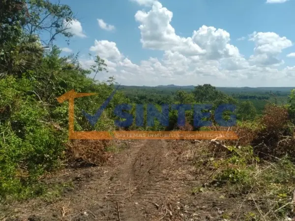 Terreno en venta en Tihuatlan Centro, Tihuatlán — foto 2 de 14