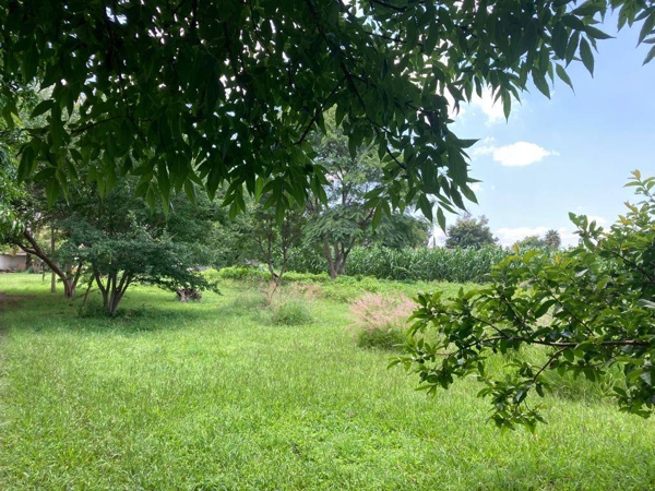 Terreno en venta en Los Cajetes, Zapopan — foto 3 de 12