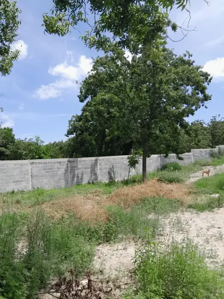 Terreno en venta en De La Loma, Parras — foto 2 de 8