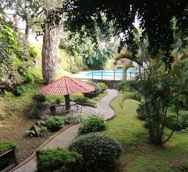 Casa en renta en Cuernavaca Centro, Cuernavaca — foto 2 de 9