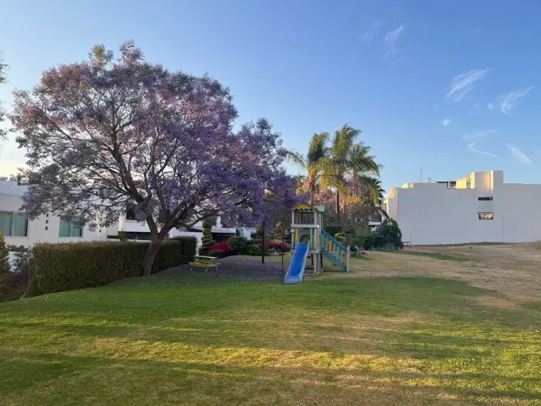 Terreno en venta en Lomas de Angelópolis, San Andrés Cholula — foto 3 de 8
