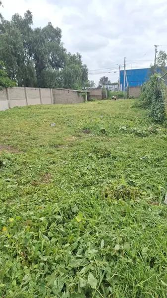 Terreno en venta en Tequisistlan, Tezoyuca — foto 2 de 4