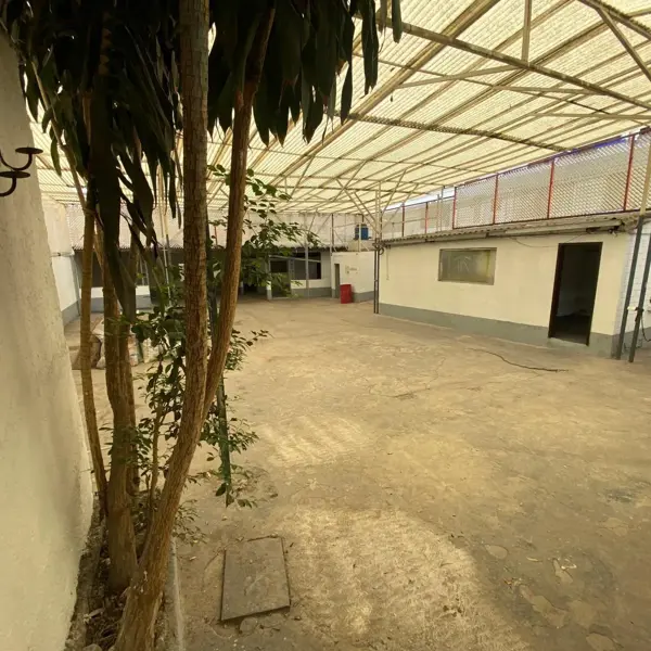 Bodega en renta en Tlalpan Centro, Tlalpan — foto 3 de 11