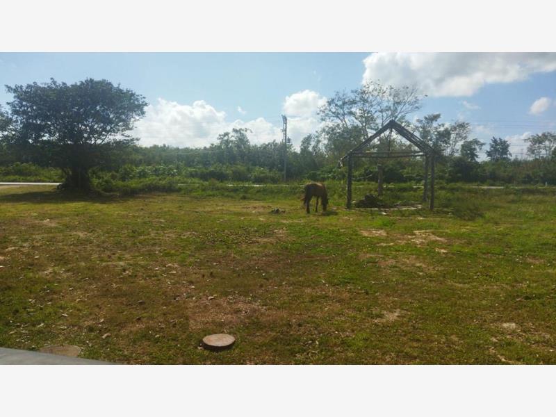 Finca-Rancho en venta en Leona Vicario, Puerto Morelos — foto 1 de 36