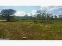Finca-Rancho en venta en Leona Vicario, Puerto Morelos, Quintana Roo