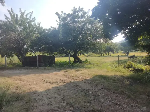 Terreno en venta en Totolapan, Totolapan — foto 2 de 3