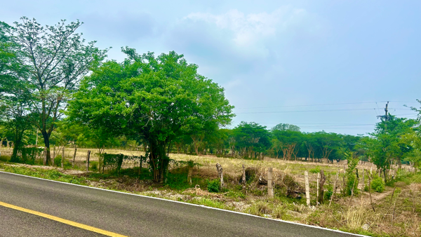 Terreno en venta en Francisco Sarabia, Chiapa de Corzo — foto 3 de 11