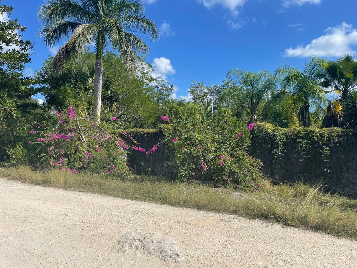 Finca-Rancho en venta en Leona Vicario, Puerto Morelos — foto 1 de 8
