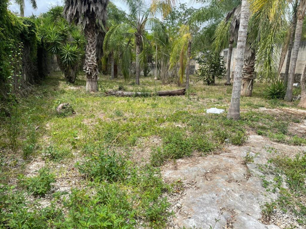 Finca-Rancho en venta en Leona Vicario, Puerto Morelos — foto 2 de 8