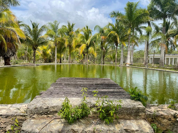 Finca-Rancho en venta en Leona Vicario, Puerto Morelos — foto 3 de 8