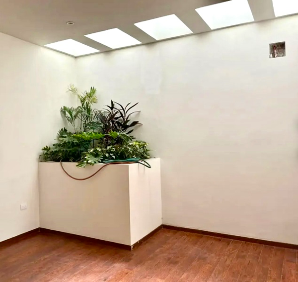 Casa en venta en Nueva los Angeles, Torreón — foto 3 de 17