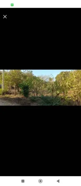 Terreno en venta en Democrática Chiapaneca, Tonalá — foto 2 de 4