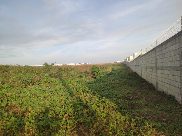 Terreno en venta en La Matoza (Acapulquito), Alvarado — foto 3 de 11