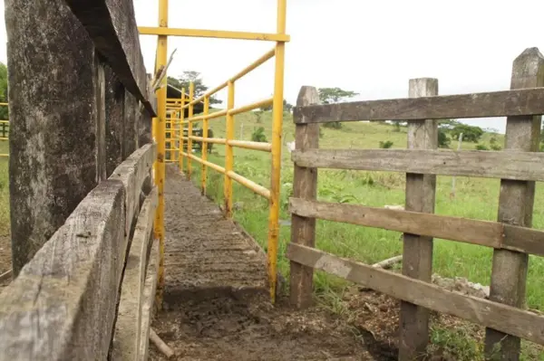 Terreno en venta en Tibernal, Santiago Tuxtla — foto 2 de 9