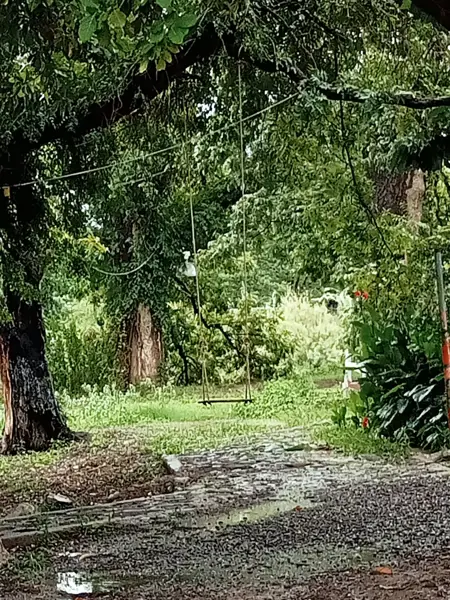 Terreno en venta en Tacubaya, Parras — foto 3 de 5