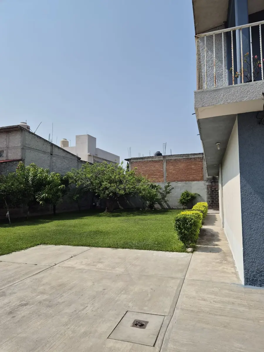 Imagen 5
