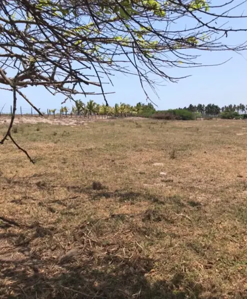 Terreno en venta en Puerta de Palapares, Santiago Ixcuintla — foto 2 de 13
