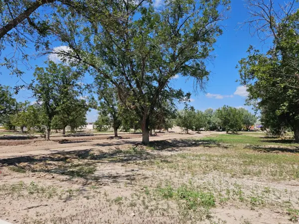 Terreno en venta en La Barranca, Torreón — foto 3 de 8