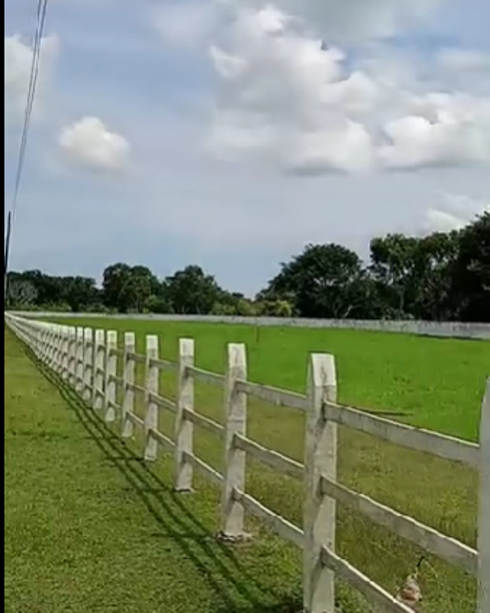 Finca-Rancho en venta en El Tejar, Medellín de Bravo — foto 1 de 5