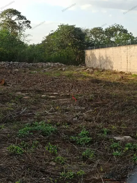 Terreno en venta en Cholul, Mérida — foto 2 de 8