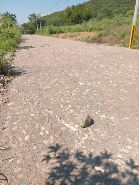 Terreno en venta en Oriente 2da. Sección, El Grullo — foto 2 de 4