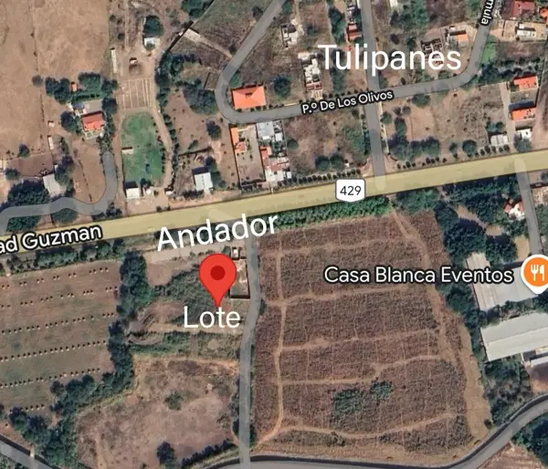 Terreno en venta en Oriente 2da. Sección, El Grullo — foto 3 de 4