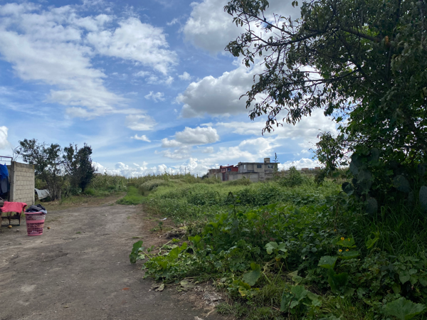 Terreno en venta en San Miguel Totocuitlapilco, Metepec — foto 3 de 6