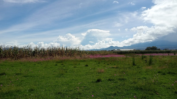 Terreno en venta en San Miguel Totocuitlapilco, Metepec — foto 3 de 5